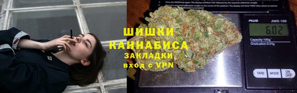 2c-b Бородино