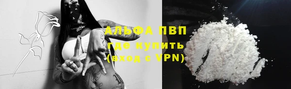 2c-b Бородино