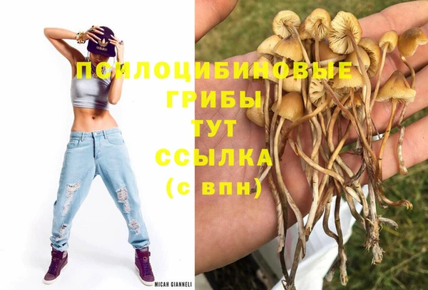 spice Верхний Тагил