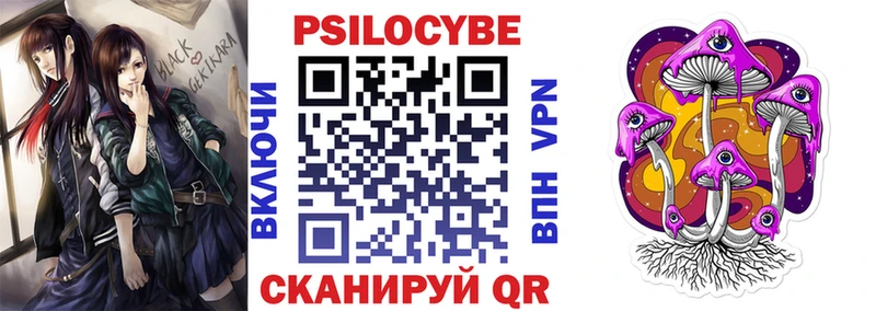 блэк спрут рабочий сайт Гудермес Галлюциногенные грибы мухоморы купить сайты